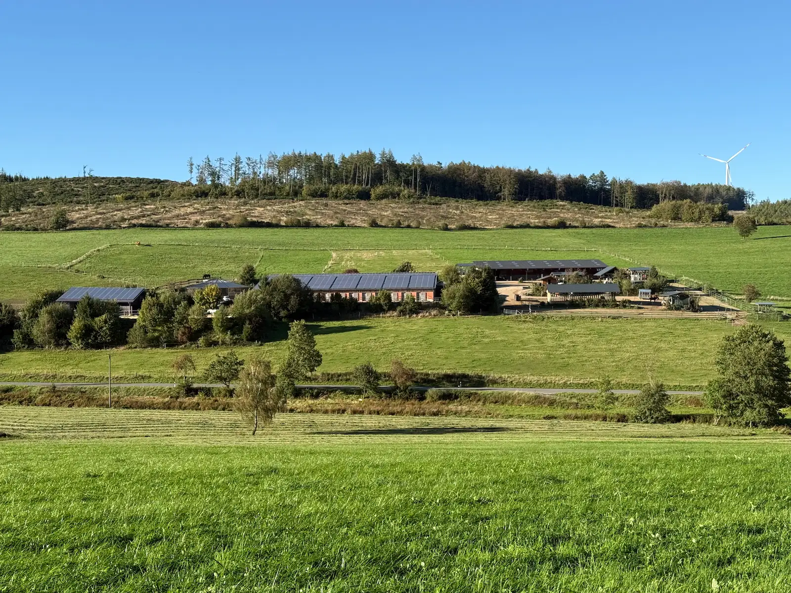 Gesamtansicht des Reiterhofs Kruberg mit Aktivstall, Reitanlage und Weiden vor dem Waldrand