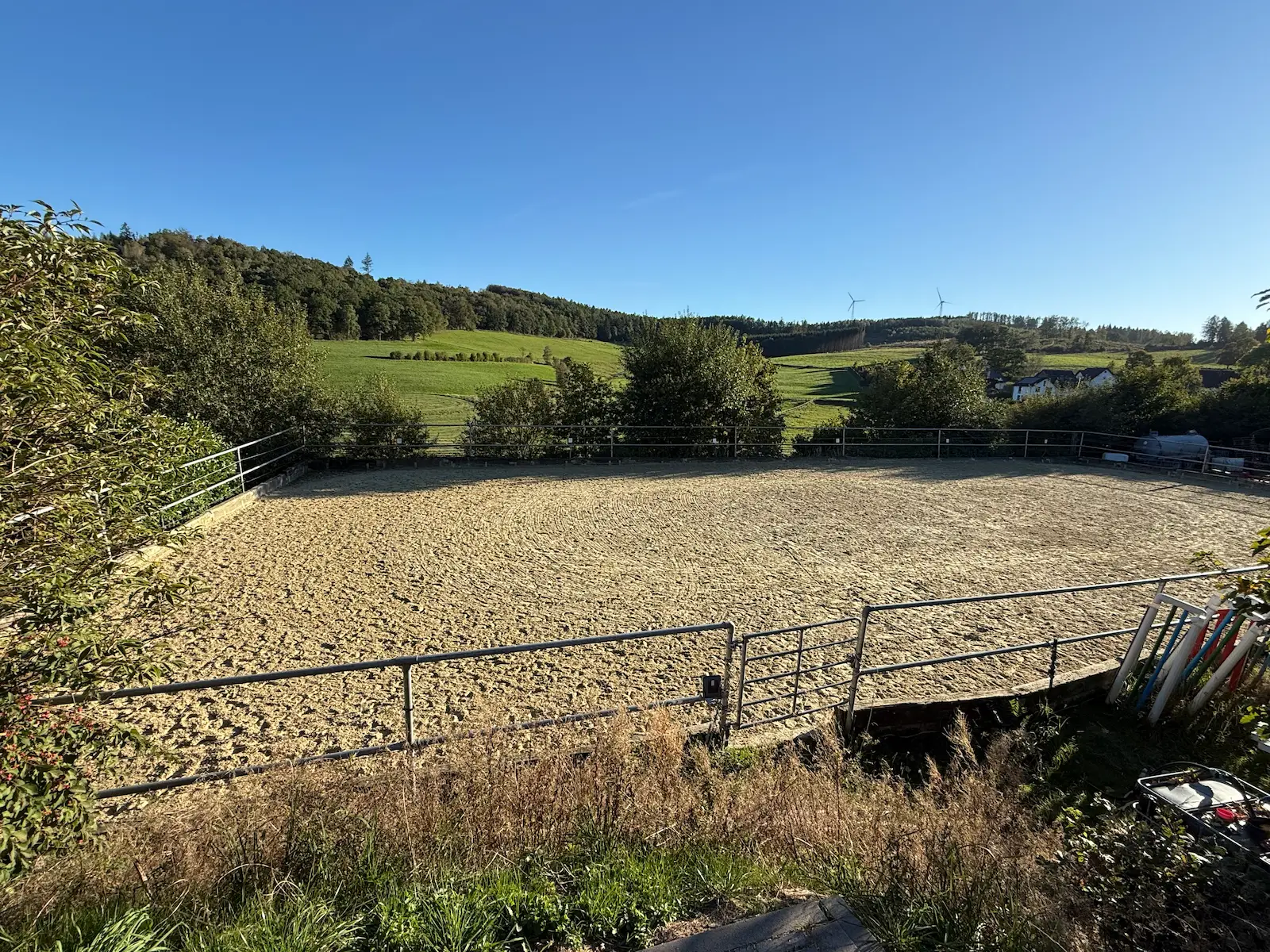 Außenreitplatz mit frisch geschlepptem Sandboden, dahinter Wiesen und Wald