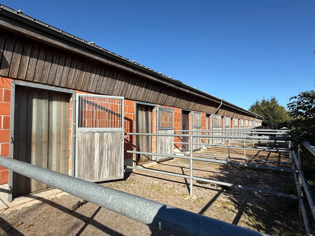 Paddocks an der Reithalle